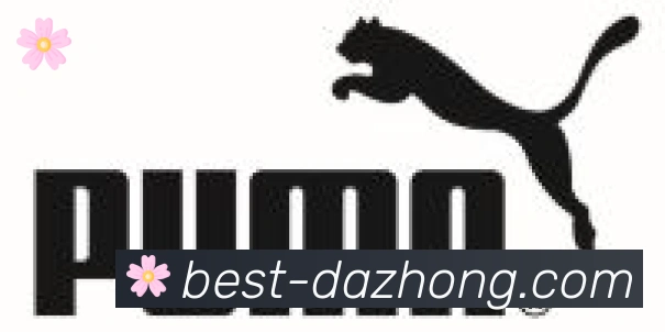 大众彩票官网合作伙伴